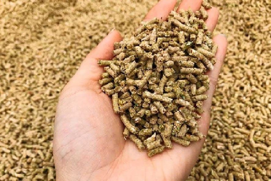 NHẬP KHẨU THỨC ĂN GIA SÚC 4 THÁNG ĐẦU NĂM 2023