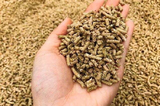 NHẬP KHẨU THỨC ĂN GIA SÚC 4 THÁNG ĐẦU NĂM 2023