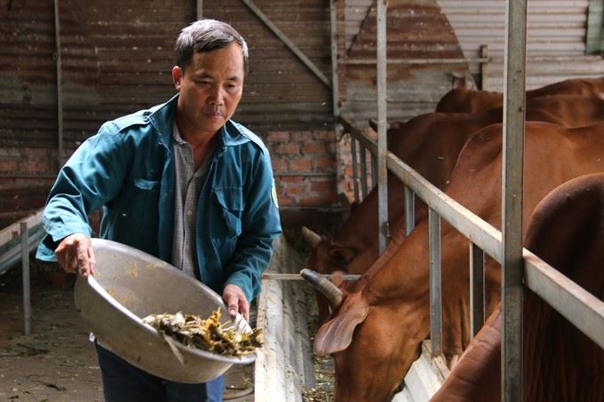 NÔNG NGHIỆP TUẦN HOÀN XOAY QUANH CON BÒ THỊT