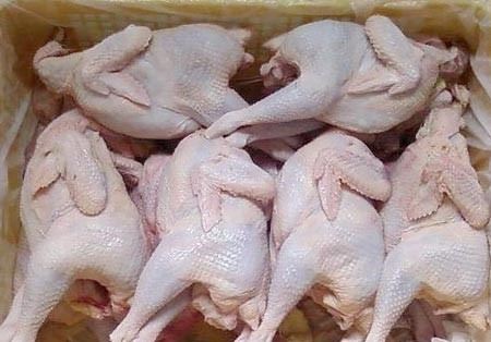 THỊ TRƯỜNG SẢN PHẨM CHĂN NUÔI 10 THÁNG ĐẦU NĂM 2023