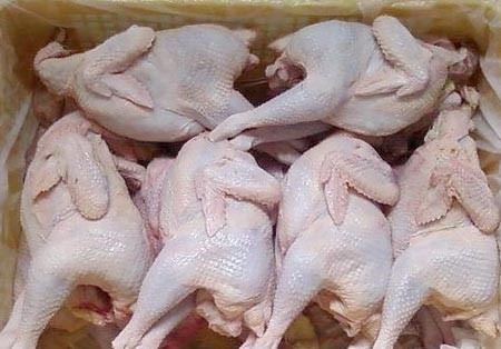 THỊ TRƯỜNG SẢN PHẨM CHĂN NUÔI 10 THÁNG ĐẦU NĂM 2023