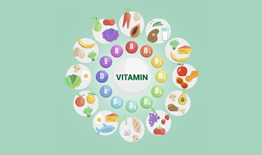 VAI TRÒ CỦA VITAMIN CHO GIA SÚC TRONG CHĂN NUÔI