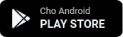 Play store